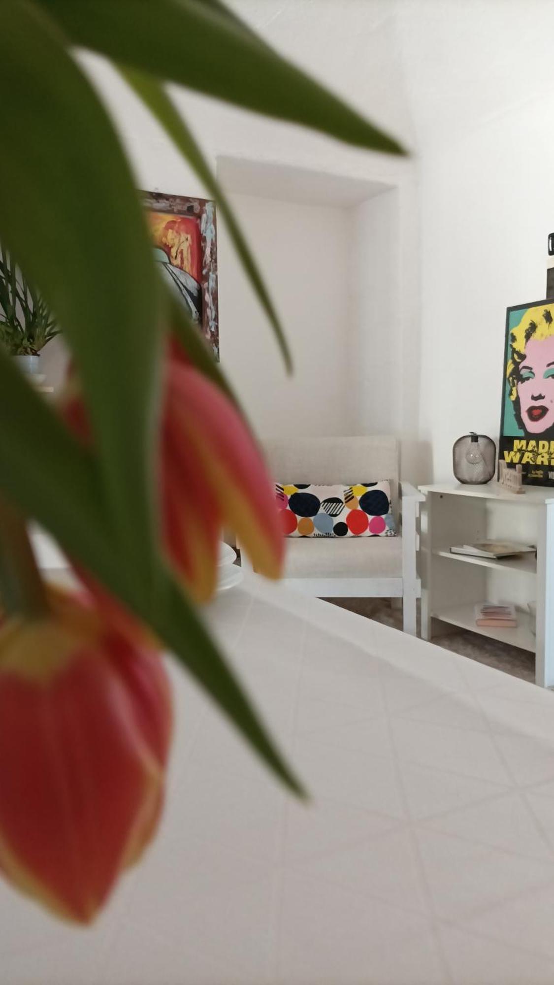 Quick Home - Interno 45 Biella Room photo